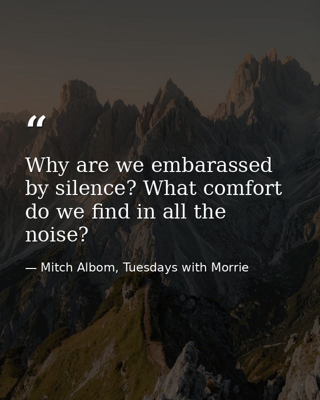 Why are we embarassed by silence? What comfort do we find in all the noise? — Mitch Albom, Tuesdays with Morrie
