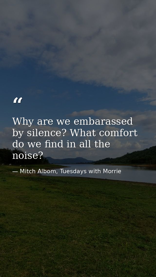 Why are we embarassed by silence? What comfort do we find in all the noise? — Mitch Albom, Tuesdays with Morrie