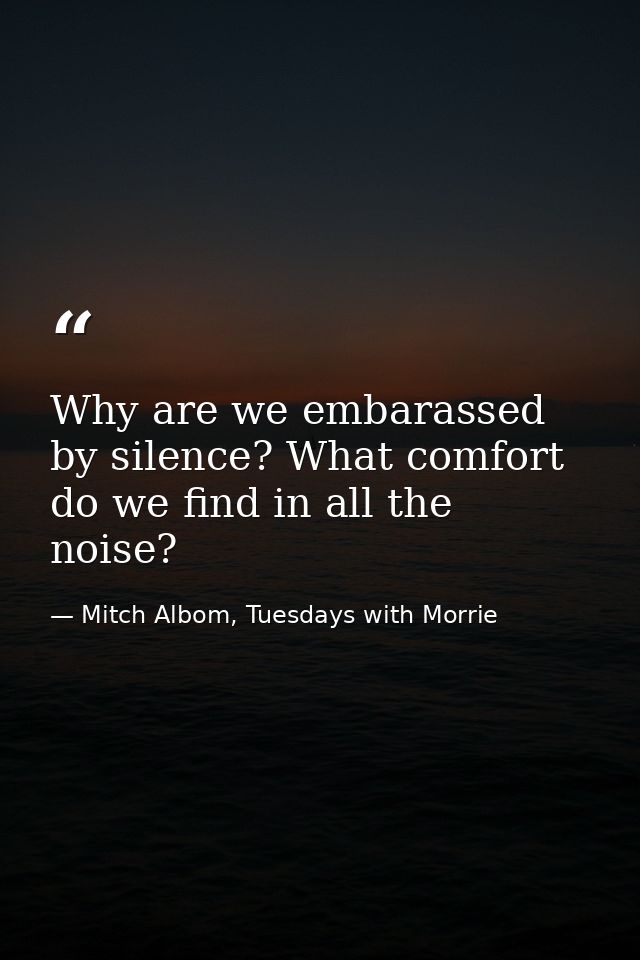 Why are we embarassed by silence? What comfort do we find in all the noise? — Mitch Albom, Tuesdays with Morrie