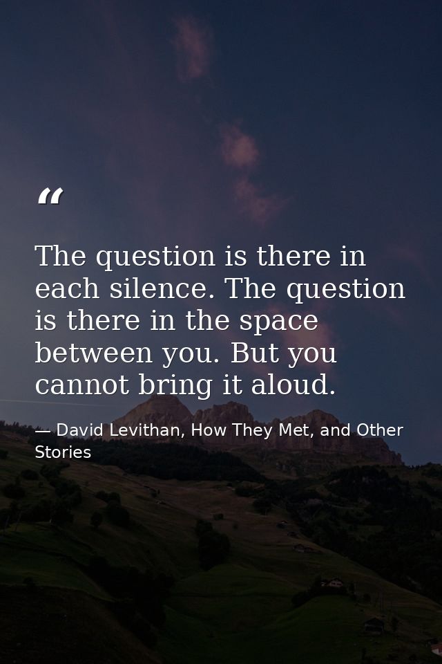 The question is there in each silence. The question is there in the space between you. But you cannot bring it aloud. — David Levithan, How They Met, and Other Stories