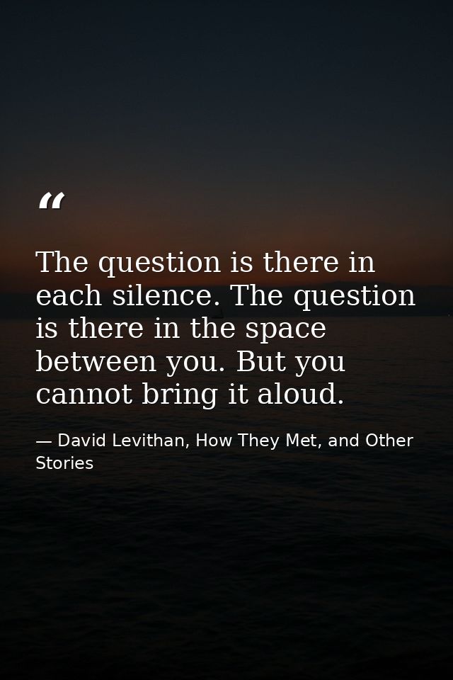 The question is there in each silence. The question is there in the space between you. But you cannot bring it aloud. — David Levithan, How They Met, and Other Stories