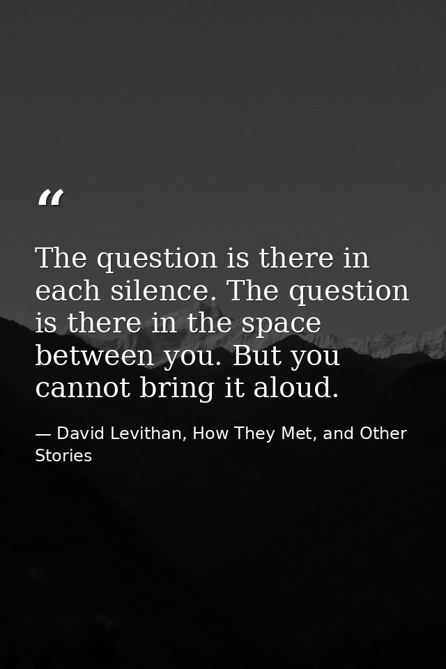 The question is there in each silence. The question is there in the space between you. But you cannot bring it aloud. — David Levithan, How They Met, and Other Stories