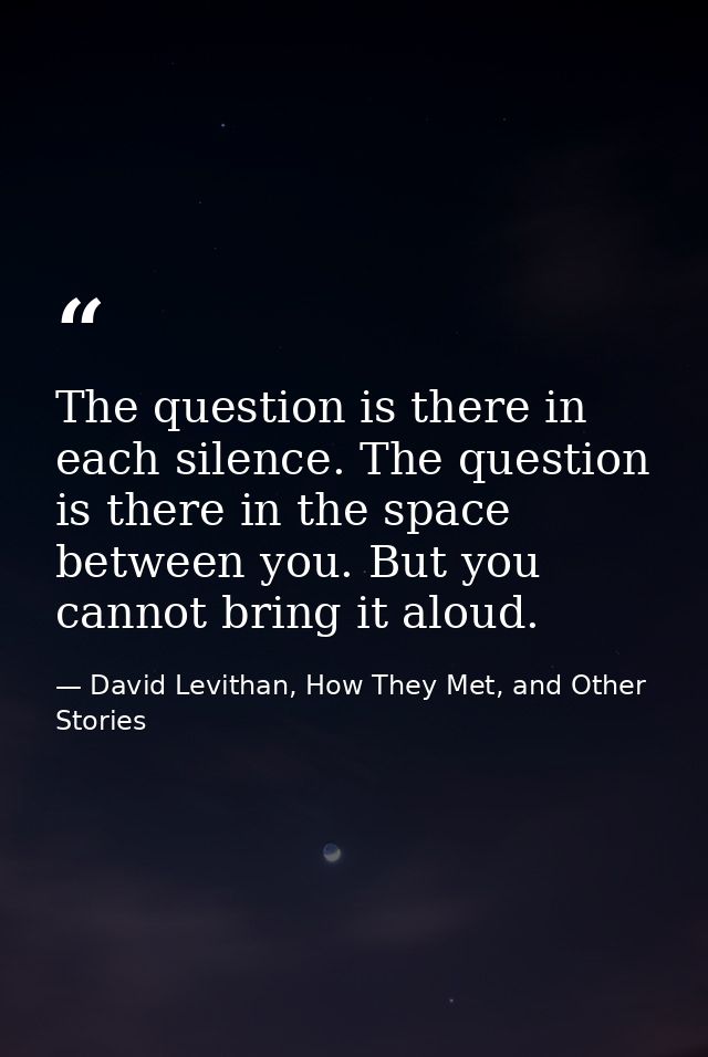 The question is there in each silence. The question is there in the space between you. But you cannot bring it aloud. — David Levithan, How They Met, and Other Stories