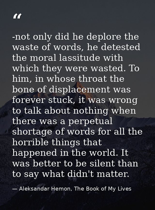 -not only did he deplore the waste of words, he detested the moral lassitude with which they were wasted. To him, in who — Aleksandar Hemon, The Book of My Lives