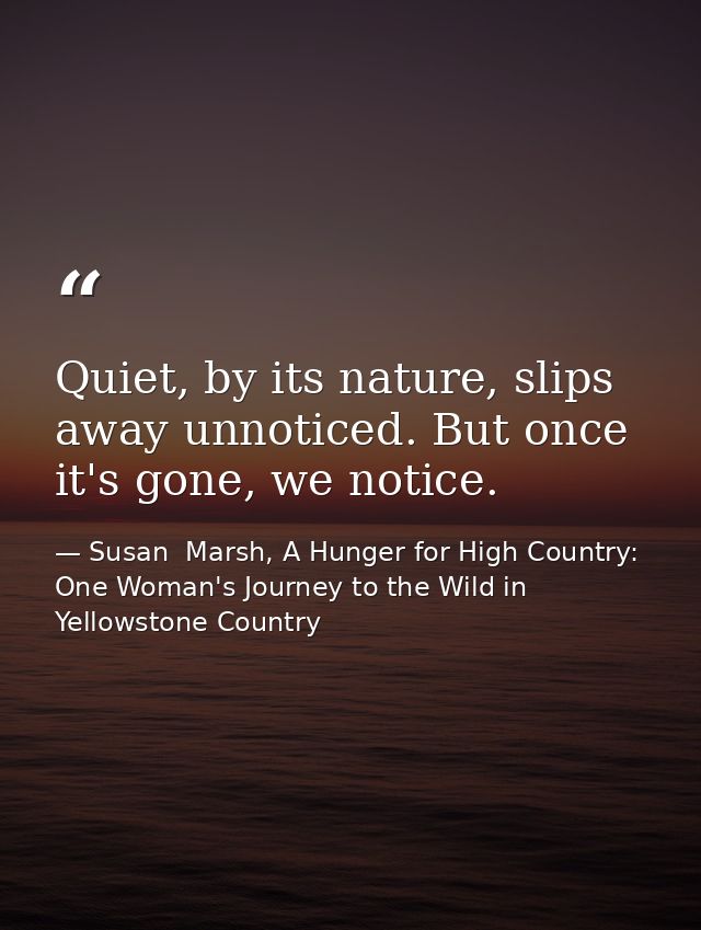 Quiet, by its nature, slips away unnoticed. But once it's gone, we notice. — Susan  Marsh, A Hunger for High Country: One Woman's Journey to the Wild in Yellowstone Country