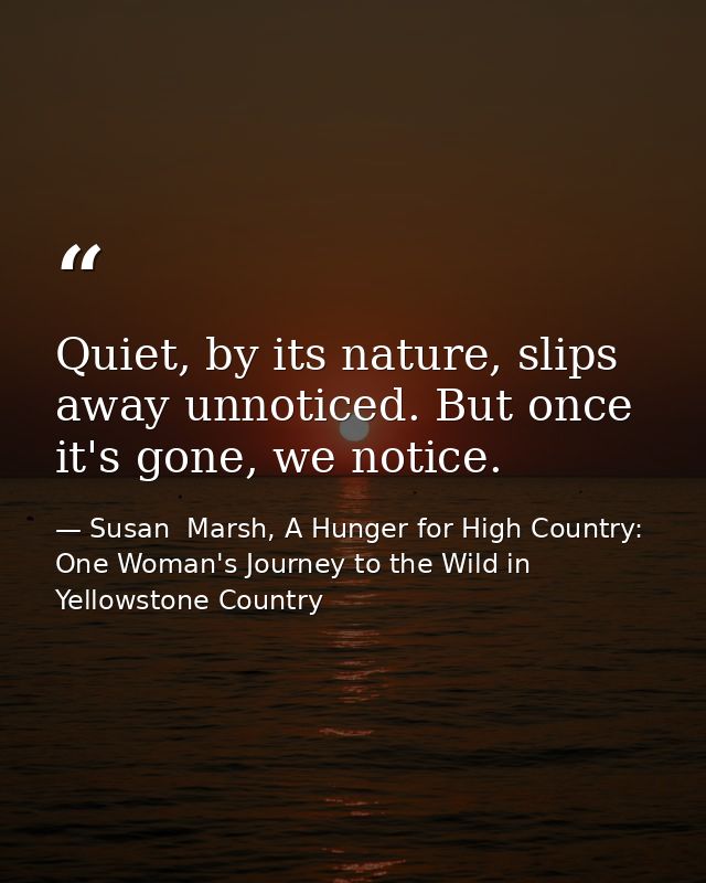Quiet, by its nature, slips away unnoticed. But once it's gone, we notice. — Susan  Marsh, A Hunger for High Country: One Woman's Journey to the Wild in Yellowstone Country