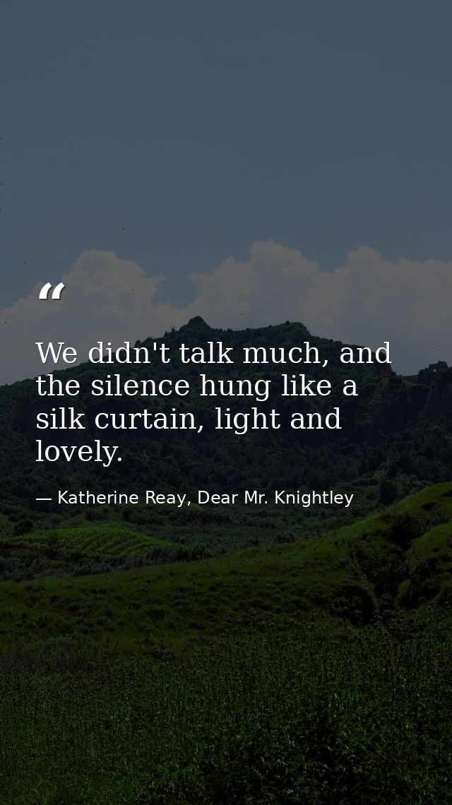We didn't talk much, and the silence hung like a silk curtain, light and lovely. — Katherine Reay, Dear Mr. Knightley