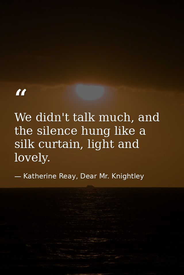 We didn't talk much, and the silence hung like a silk curtain, light and lovely. — Katherine Reay, Dear Mr. Knightley