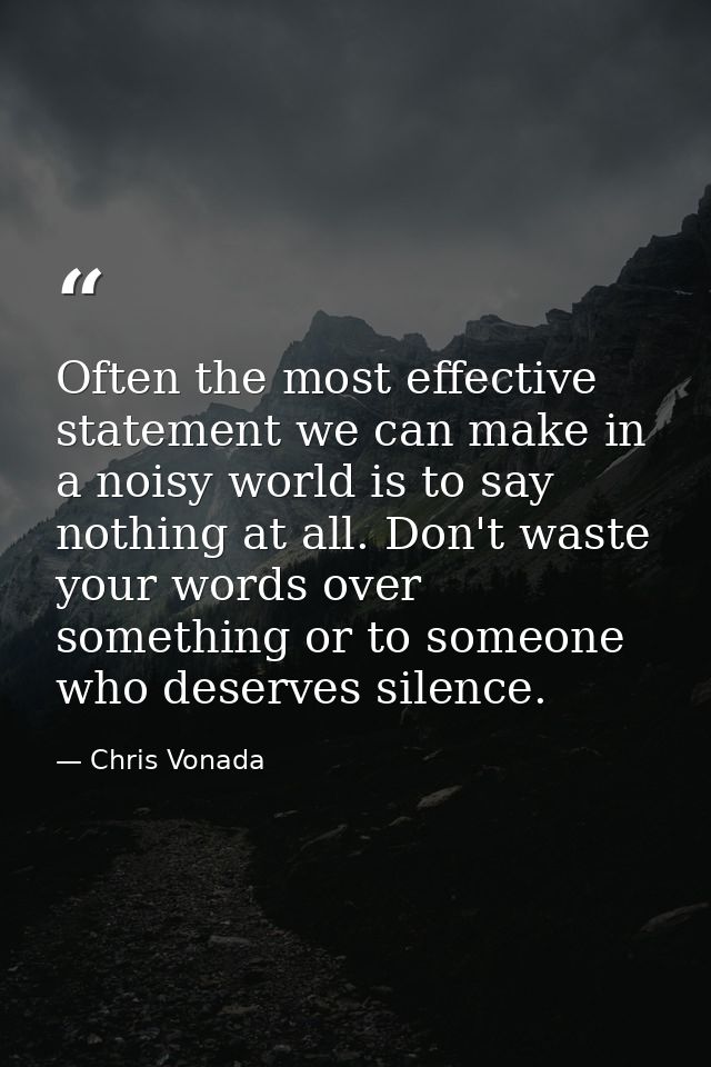 Often the most effective statement we can make in a noisy world is to say nothing at all. Don't waste your words over so — Chris Vonada