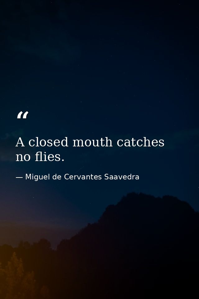 A closed mouth catches no flies. — Miguel de Cervantes Saavedra