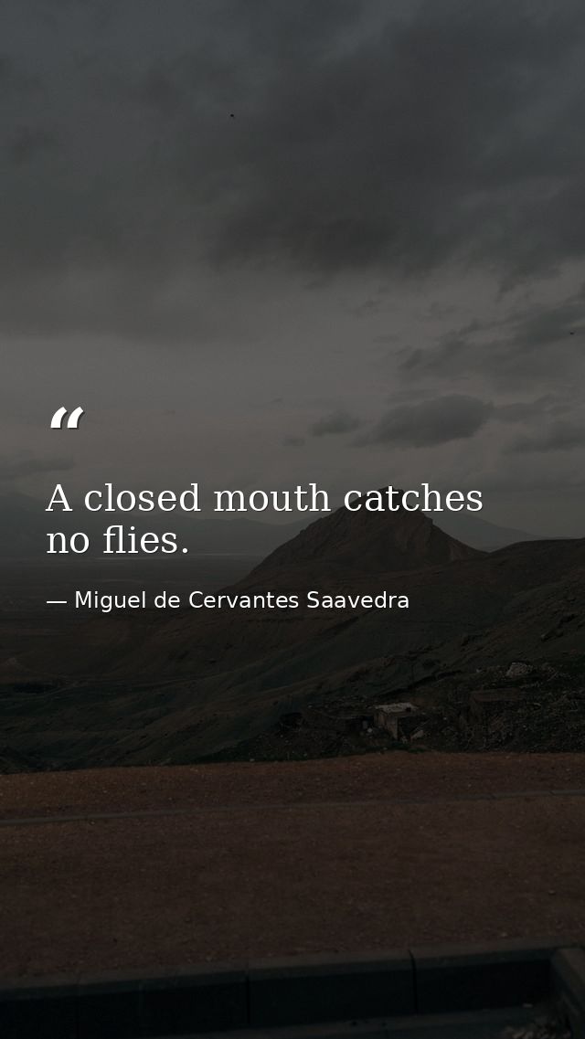 A closed mouth catches no flies. — Miguel de Cervantes Saavedra