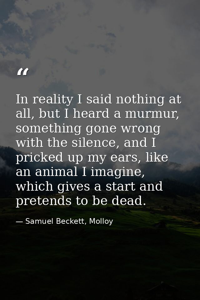 In reality I said nothing at all, but I heard a murmur, something gone wrong with the silence, and I pricked up my ears, — Samuel Beckett, Molloy