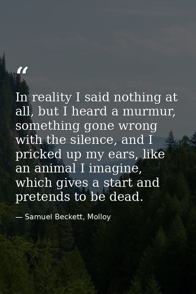In reality I said nothing at all, but I heard a murmur, something gone wrong with the silence, and I pricked up my ears, — Samuel Beckett, Molloy