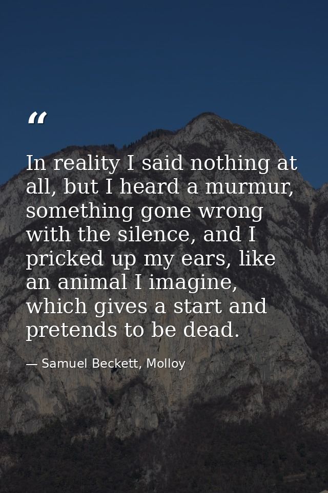 In reality I said nothing at all, but I heard a murmur, something gone wrong with the silence, and I pricked up my ears, — Samuel Beckett, Molloy