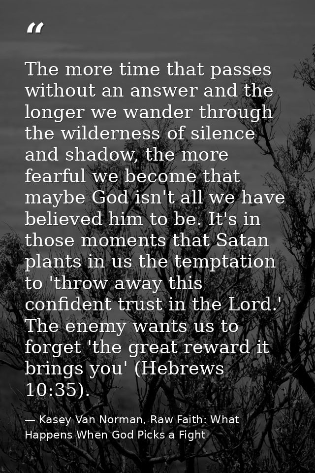 The more time that passes without an answer and the longer we wander through the wilderness of silence and shadow, the m — Kasey Van Norman, Raw Faith: What Happens When God Picks a Fight