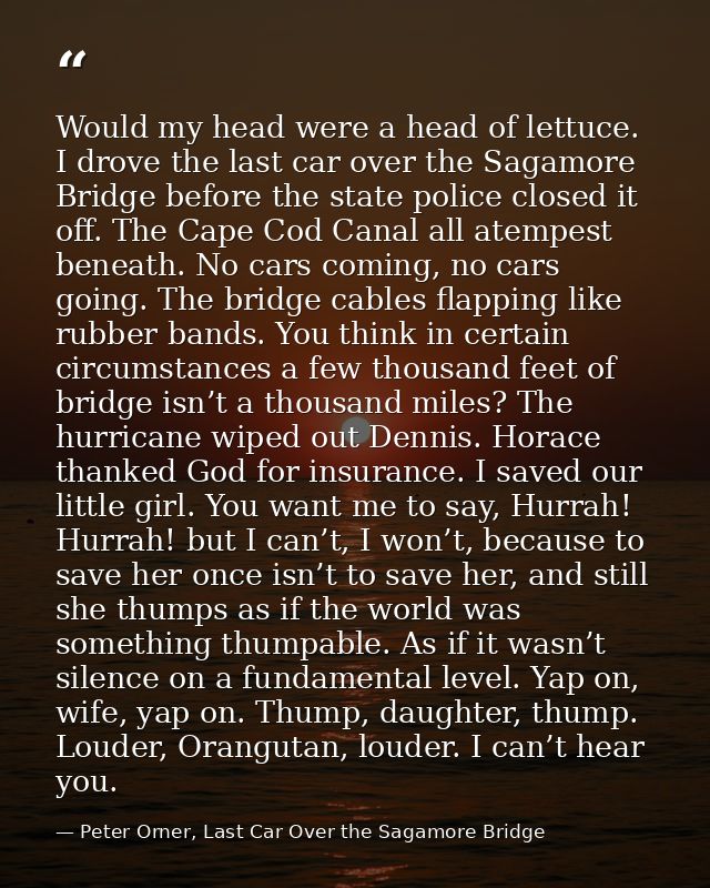 Would my head were a head of lettuce. I drove the last car over the Sagamore Bridge before the state police closed it of — Peter Orner, Last Car Over the Sagamore Bridge