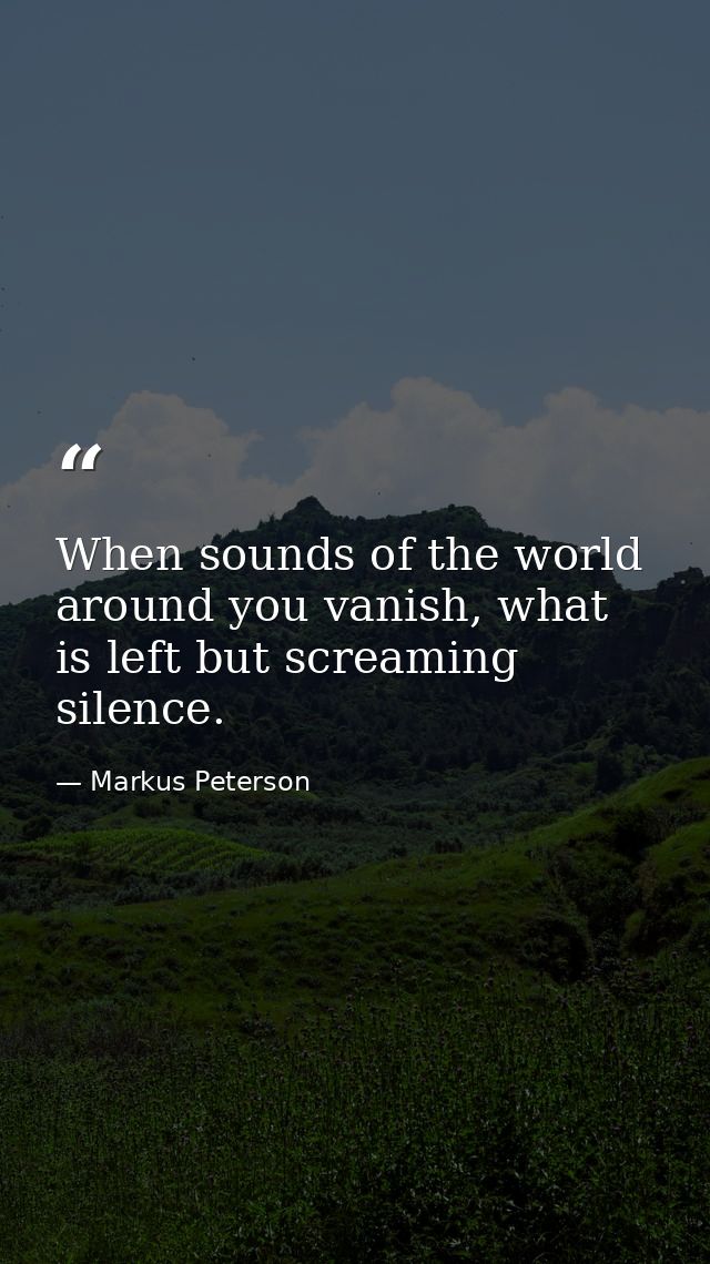 When sounds of the world around you vanish, what is left but screaming silence. — Markus Peterson