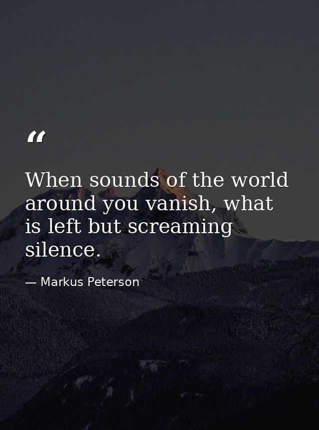 When sounds of the world around you vanish, what is left but screaming silence. — Markus Peterson