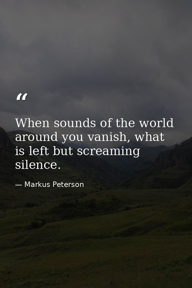 When sounds of the world around you vanish, what is left but screaming silence. — Markus Peterson