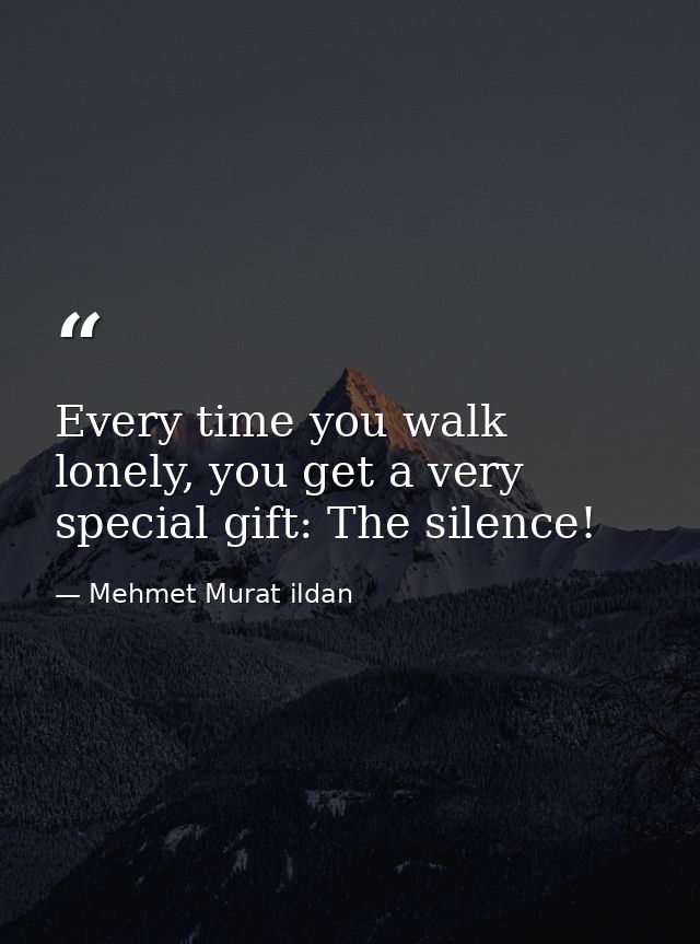 Every time you walk lonely, you get a very special gift: The silence! — Mehmet Murat ildan
