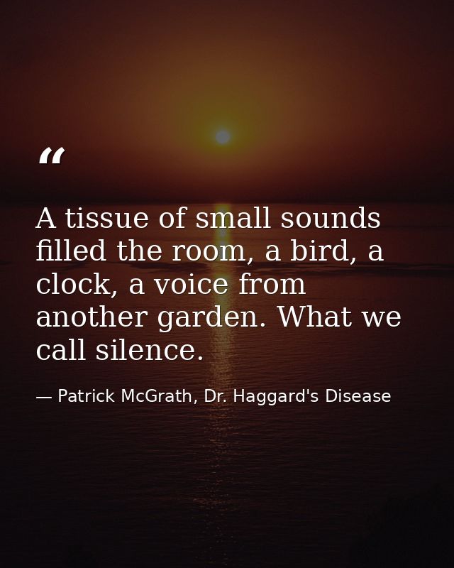 A tissue of small sounds filled the room, a bird, a clock, a voice from another garden. What we call silence. — Patrick McGrath, Dr. Haggard's Disease