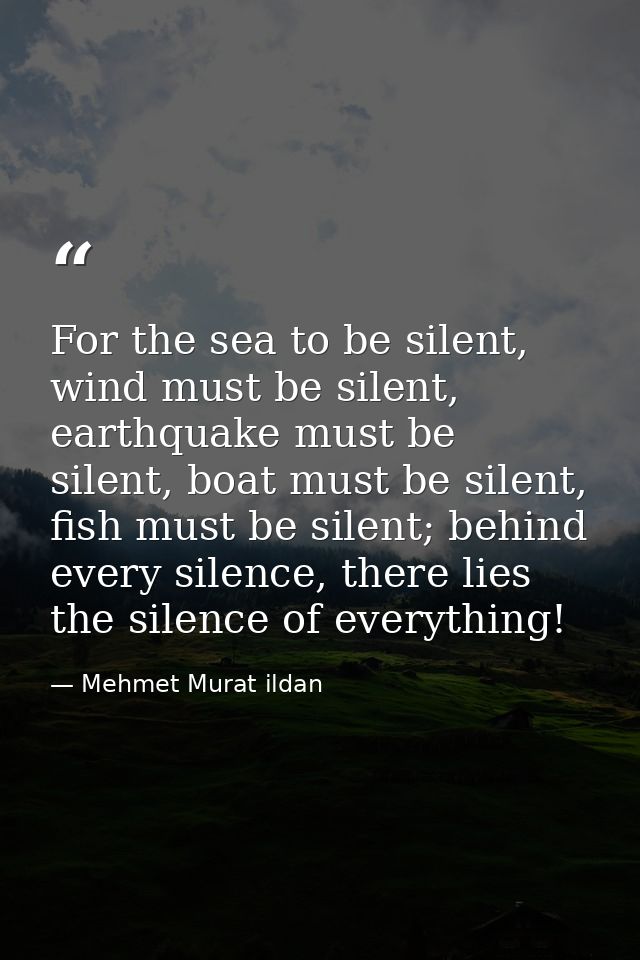 For the sea to be silent, wind must be silent, earthquake must be silent, boat must be silent, fish must be silent; behi — Mehmet Murat ildan