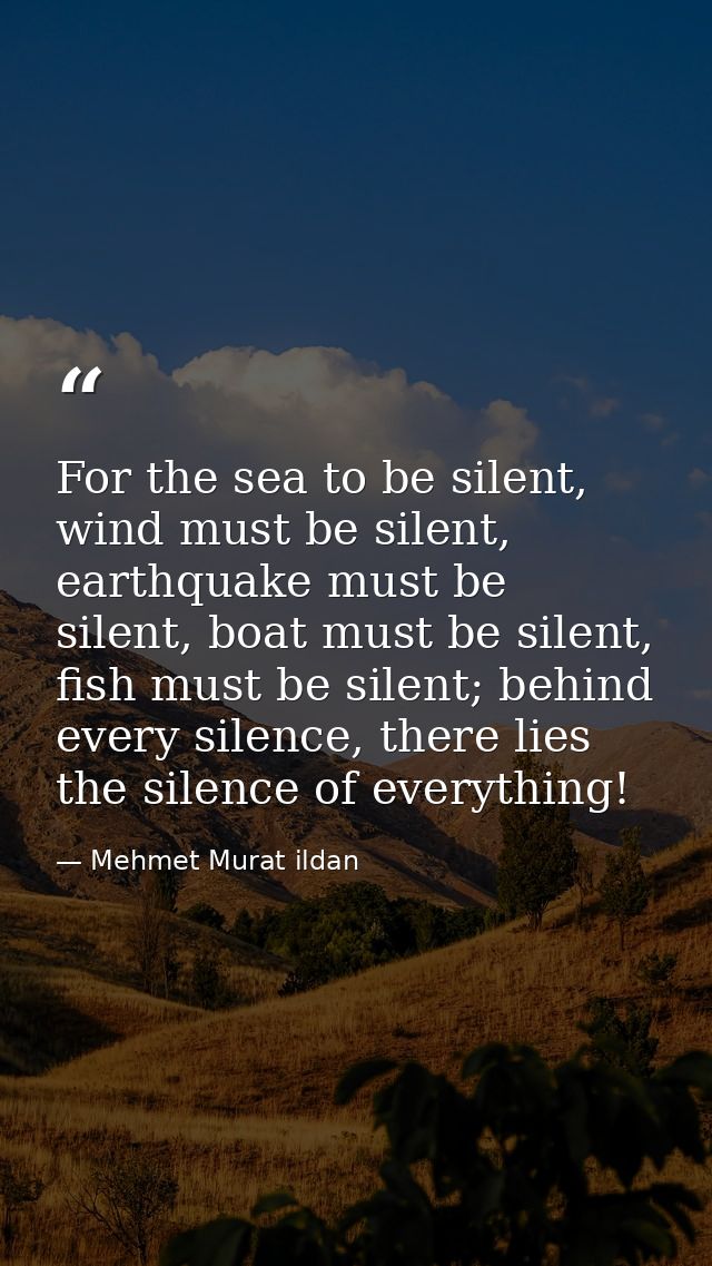 For the sea to be silent, wind must be silent, earthquake must be silent, boat must be silent, fish must be silent; behi — Mehmet Murat ildan