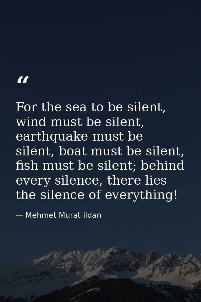 For the sea to be silent, wind must be silent, earthquake must be silent, boat must be silent, fish must be silent; behi — Mehmet Murat ildan
