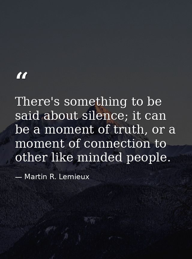 There's something to be said about silence; it can be a moment of truth, or a moment of connection to other like minded  — Martin R. Lemieux