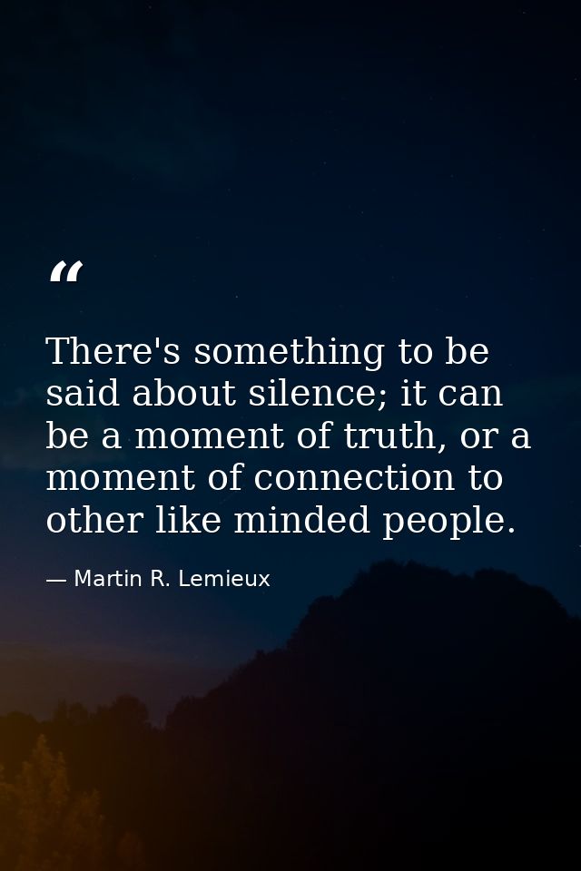 There's something to be said about silence; it can be a moment of truth, or a moment of connection to other like minded  — Martin R. Lemieux