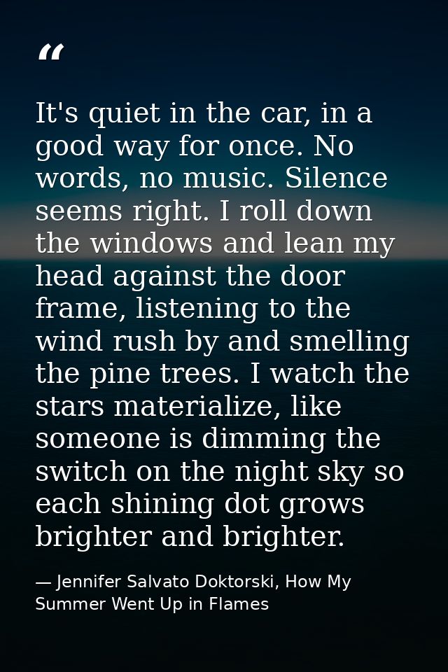 It's quiet in the car, in a good way for once. No words, no music. Silence seems right. I roll down the windows and lean — Jennifer Salvato Doktorski, How My Summer Went Up in Flames