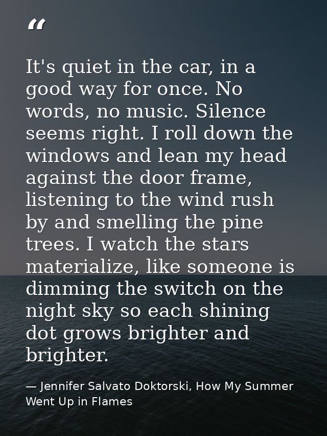 It's quiet in the car, in a good way for once. No words, no music. Silence seems right. I roll down the windows and lean — Jennifer Salvato Doktorski, How My Summer Went Up in Flames