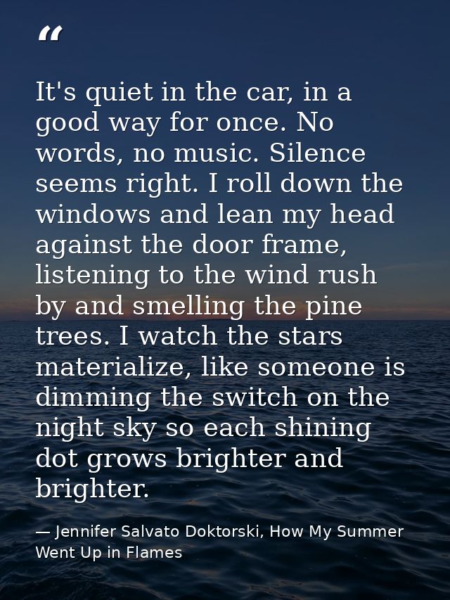 It's quiet in the car, in a good way for once. No words, no music. Silence seems right. I roll down the windows and lean — Jennifer Salvato Doktorski, How My Summer Went Up in Flames
