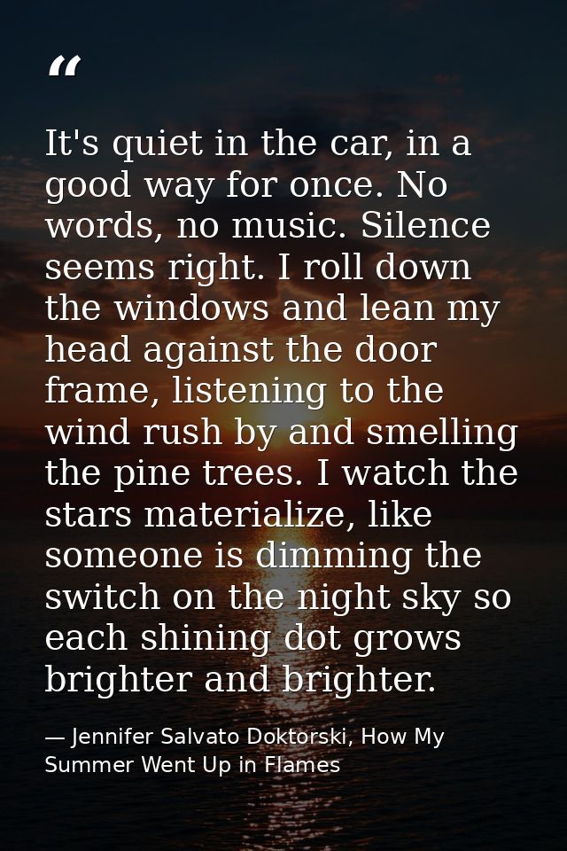 It's quiet in the car, in a good way for once. No words, no music. Silence seems right. I roll down the windows and lean — Jennifer Salvato Doktorski, How My Summer Went Up in Flames