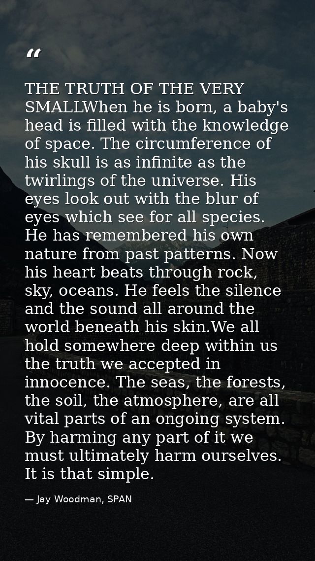 THE TRUTH OF THE VERY SMALLWhen he is born, a baby's head is filled with the knowledge of space. The circumference of hi — Jay Woodman, SPAN
