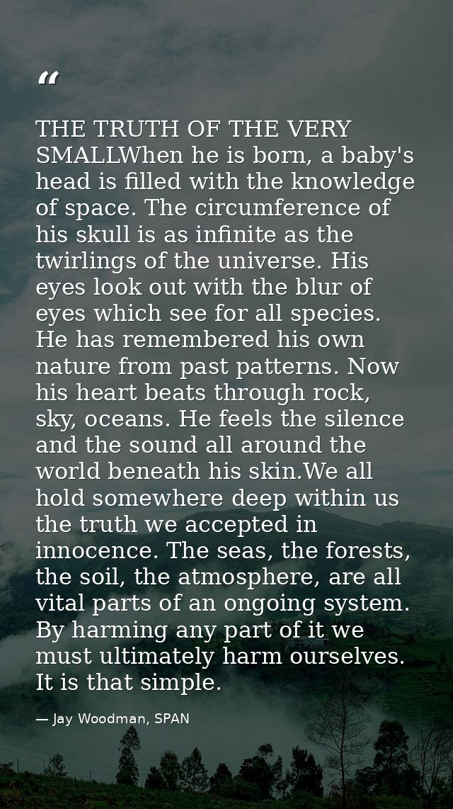 THE TRUTH OF THE VERY SMALLWhen he is born, a baby's head is filled with the knowledge of space. The circumference of hi — Jay Woodman, SPAN