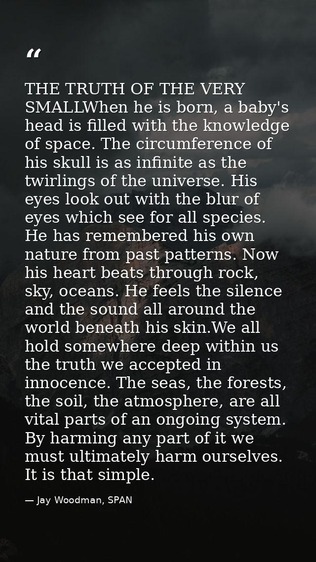 THE TRUTH OF THE VERY SMALLWhen he is born, a baby's head is filled with the knowledge of space. The circumference of hi — Jay Woodman, SPAN