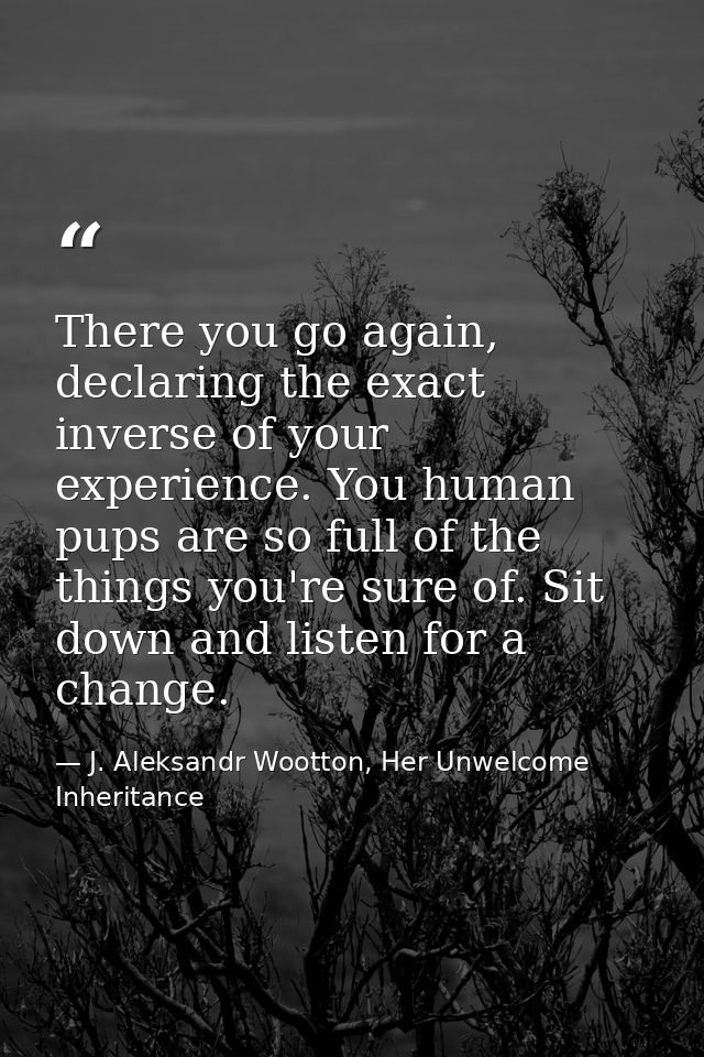 There you go again, declaring the exact inverse of your experience. You human pups are so full of the things you're sure — J. Aleksandr Wootton, Her Unwelcome Inheritance