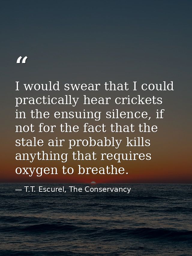I would swear that I could practically hear crickets in the ensuing silence, if not for the fact that the stale air prob — T.T. Escurel, The Conservancy