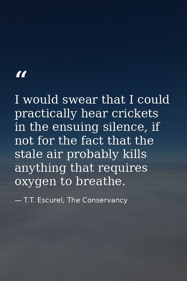 I would swear that I could practically hear crickets in the ensuing silence, if not for the fact that the stale air prob — T.T. Escurel, The Conservancy