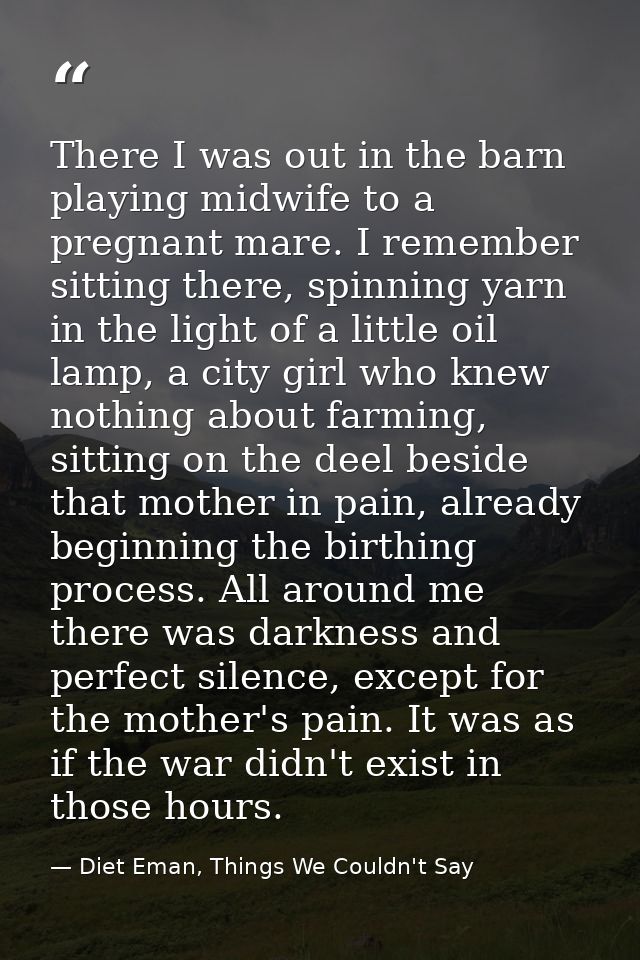 There I was out in the barn playing midwife to a pregnant mare. I remember sitting there, spinning yarn in the light of  — Diet Eman, Things We Couldn't Say