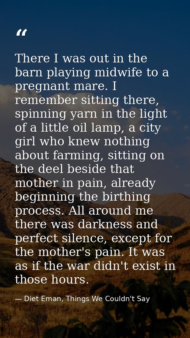 There I was out in the barn playing midwife to a pregnant mare. I remember sitting there, spinning yarn in the light of  — Diet Eman, Things We Couldn't Say