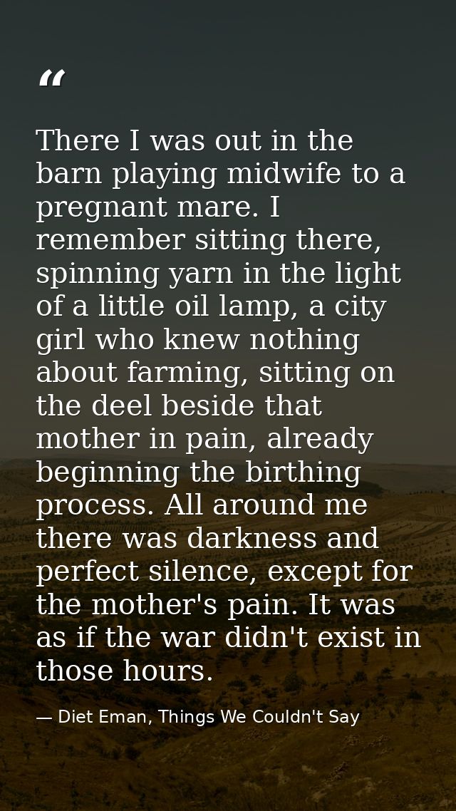 There I was out in the barn playing midwife to a pregnant mare. I remember sitting there, spinning yarn in the light of  — Diet Eman, Things We Couldn't Say
