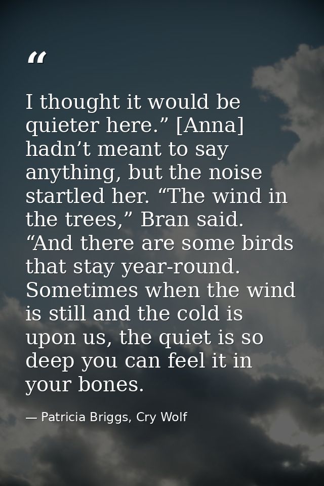 I thought it would be quieter here.” [Anna] hadn’t meant to say anything, but the noise startled her. “The wind in the t — Patricia Briggs, Cry Wolf