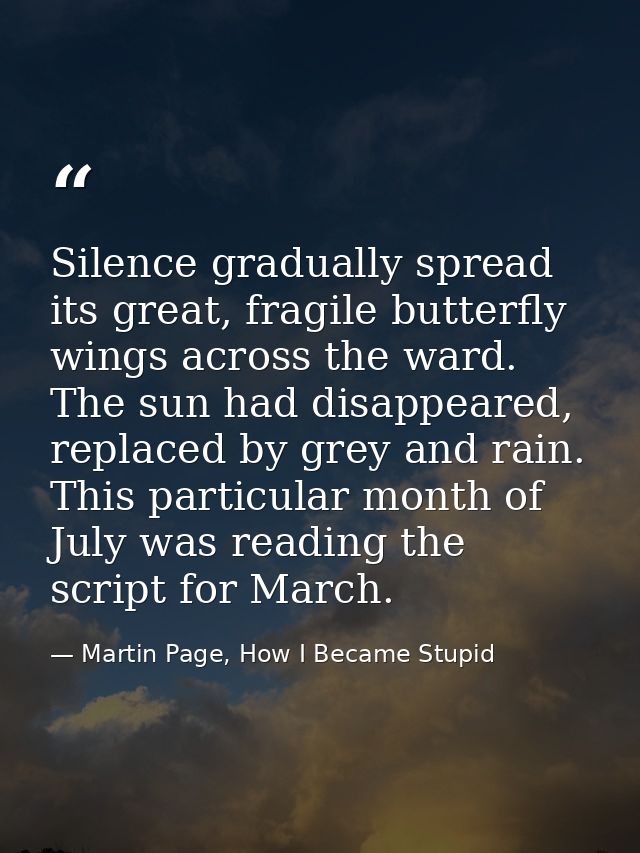 Silence gradually spread its great, fragile butterfly wings across the ward. The sun had disappeared, replaced by grey a — Martin Page, How I Became Stupid