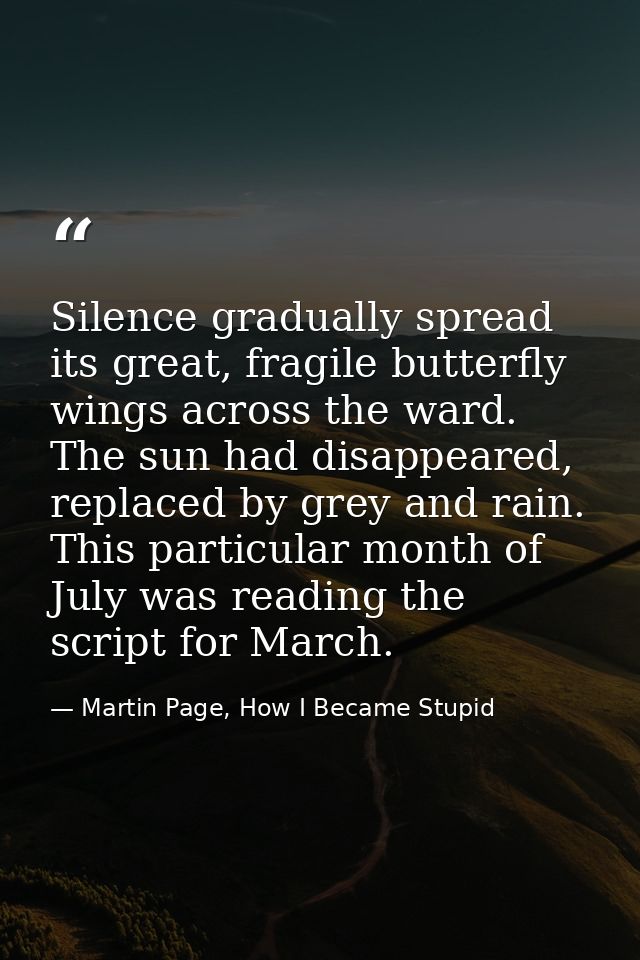 Silence gradually spread its great, fragile butterfly wings across the ward. The sun had disappeared, replaced by grey a — Martin Page, How I Became Stupid