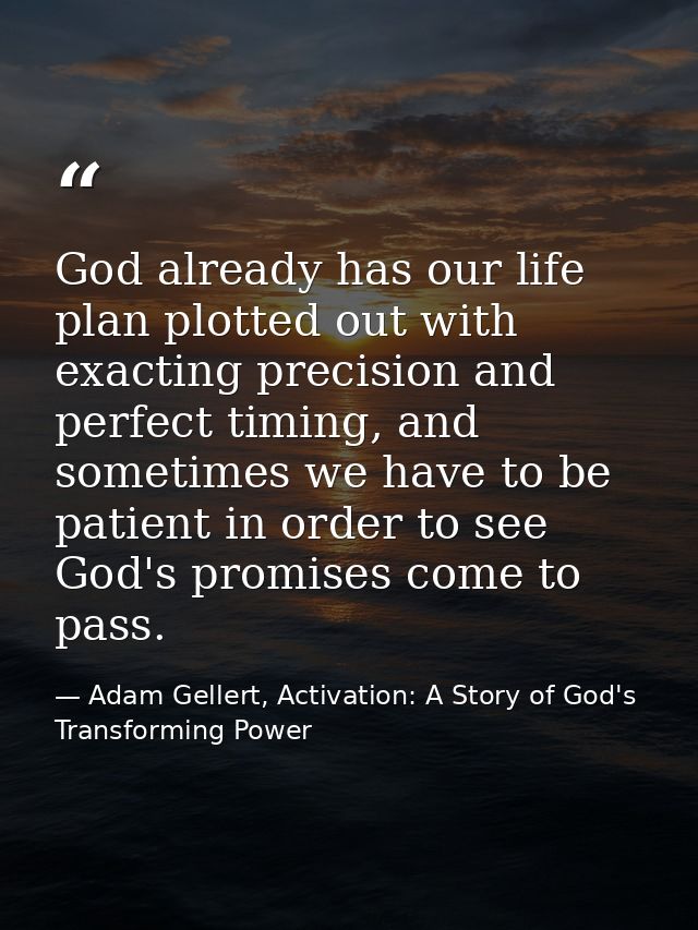 God already has our life plan plotted out with exacting precision and perfect timing, and sometimes we have to be patien — Adam Gellert, Activation: A Story of God's Transforming Power
