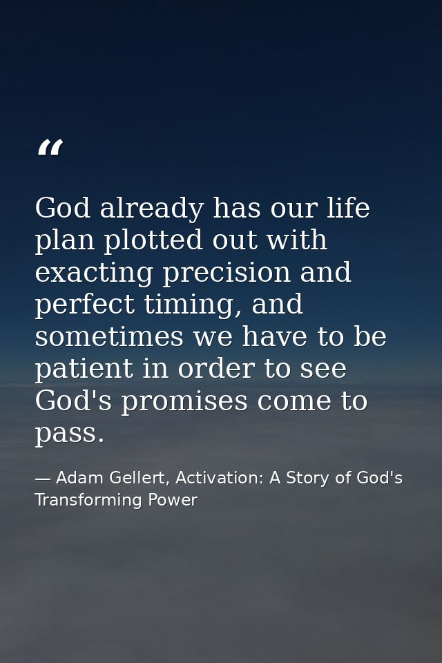 God already has our life plan plotted out with exacting precision and perfect timing, and sometimes we have to be patien — Adam Gellert, Activation: A Story of God's Transforming Power