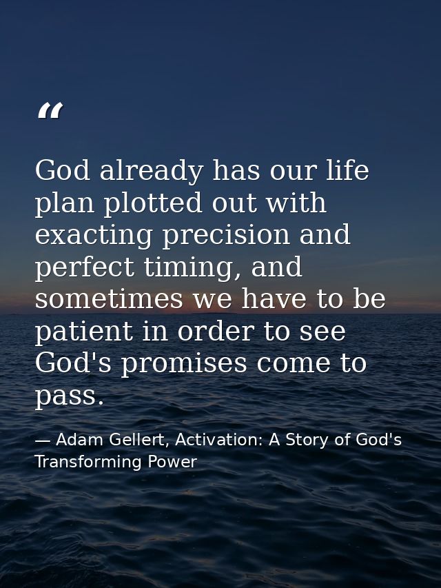God already has our life plan plotted out with exacting precision and perfect timing, and sometimes we have to be patien — Adam Gellert, Activation: A Story of God's Transforming Power