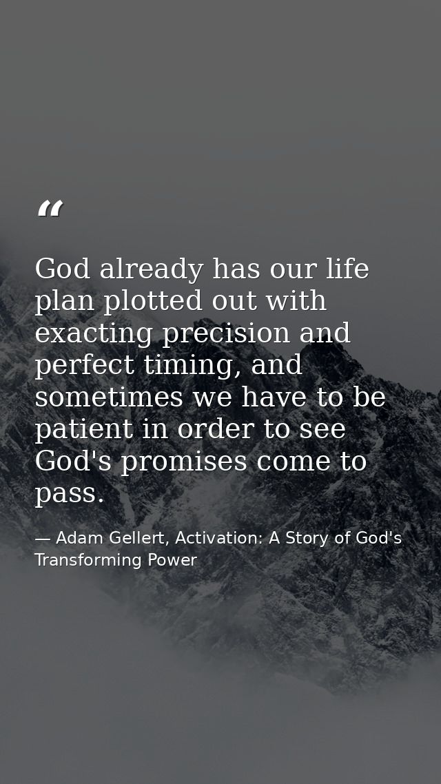 God already has our life plan plotted out with exacting precision and perfect timing, and sometimes we have to be patien — Adam Gellert, Activation: A Story of God's Transforming Power